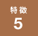 特徴5