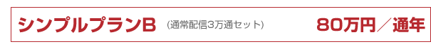 シンプルプランB（通常配信3万通セット）80万円／通年