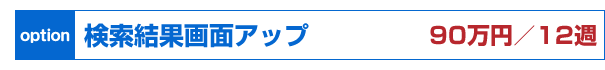 【オプション】検索結果画面アップ90万円／12週